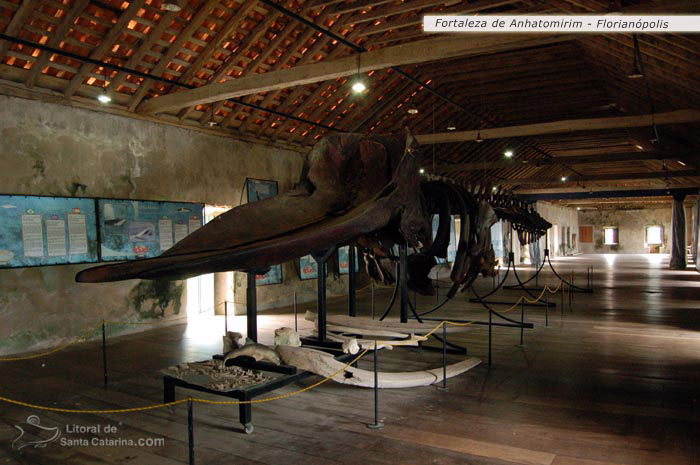Fortaleza de anhatomirim museu interno