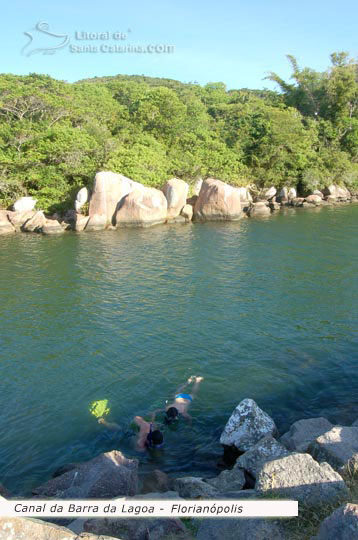 Mergulho no canal da barra da lagoa, floripa