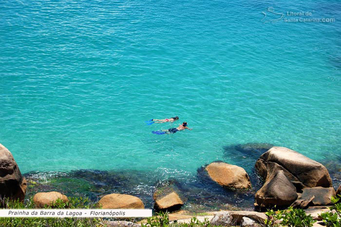 Mergulho nas piscinas naturais da barra da lagoa em santa catarina