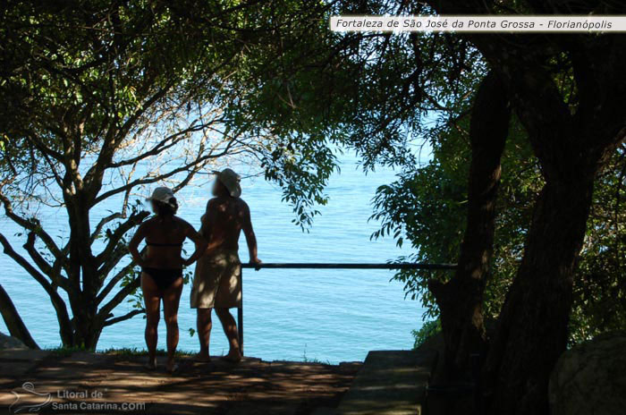 Fortaleza de são josé da ponta grossa arvore e mar