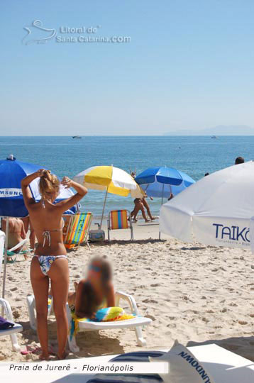 Gatas de jurerê internacional, tomando um sol a beira mar