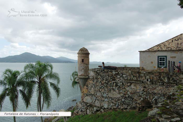 Fortaleza de ratones arquitetura e vista