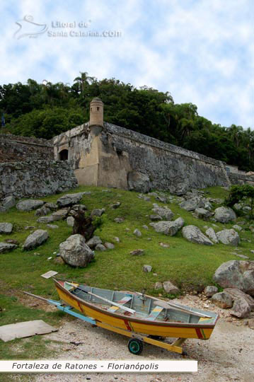 Fortaleza de ratones de dia vista lateral