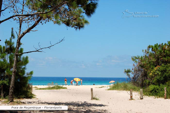 praia de moçambique florianópolis