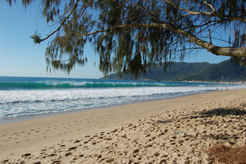 Praia da Armação de Floripa