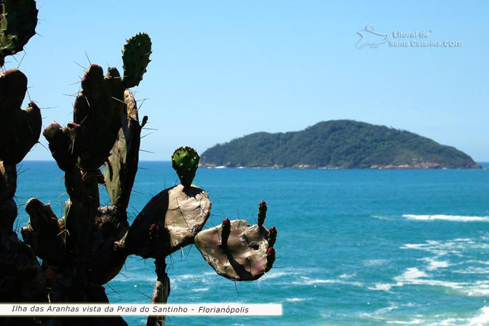 praia do santinho florianopolis