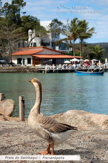 sambaqui, ao fundo bares e restaurantes pé na areia