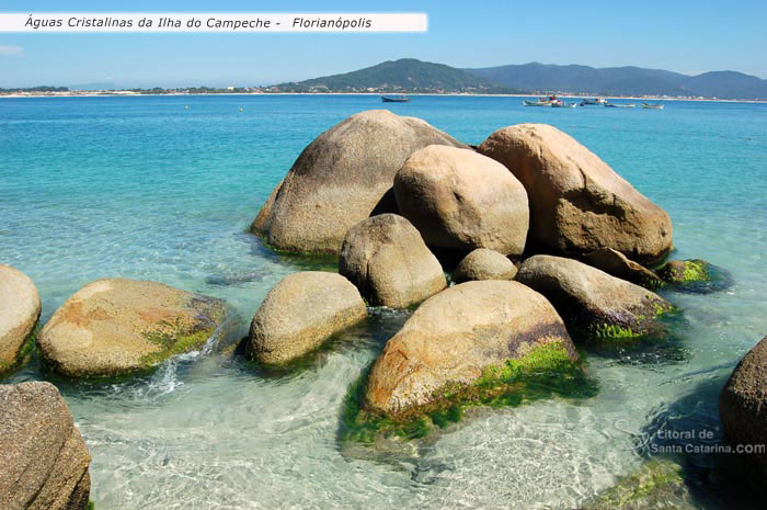águas cristalinas da ilha do campeche, florianópolis