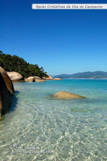 Imagem a Beira mar da ilha campeche no litoral catarinense