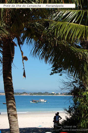 Ilha Praia Campeche