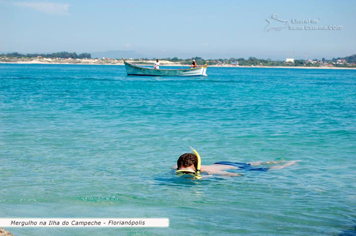 Mergulho na ilha do campeche