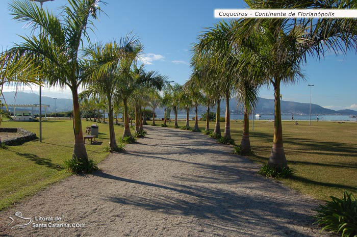 Coqueiros e calçadão Avenida Beira-Mar Norte