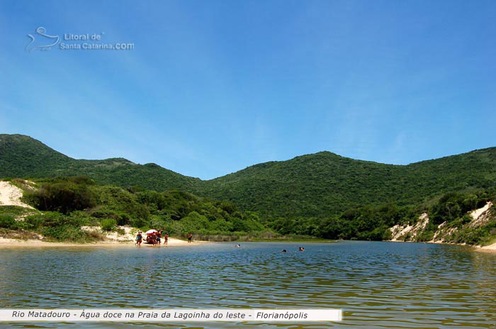 Rio matadouro, água doce na  lagoinha do leste, litoral catarinense