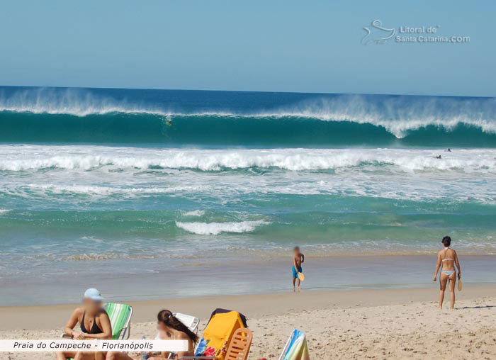 Surf Campeche, altas ondas rolando no pico e algumas pessoas relaxando nas areia da praia do campeche, santa catarina
