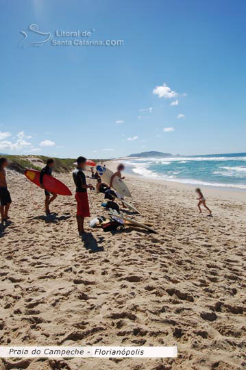 campeche florianópolis