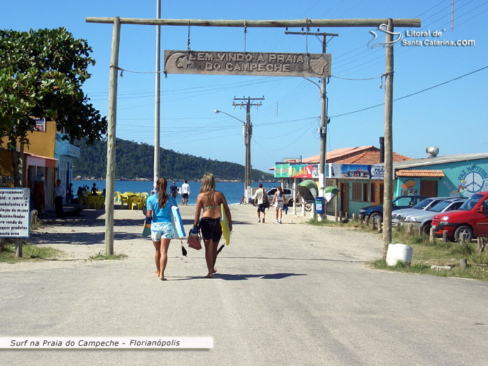 Gatas indo fazer surf campeche