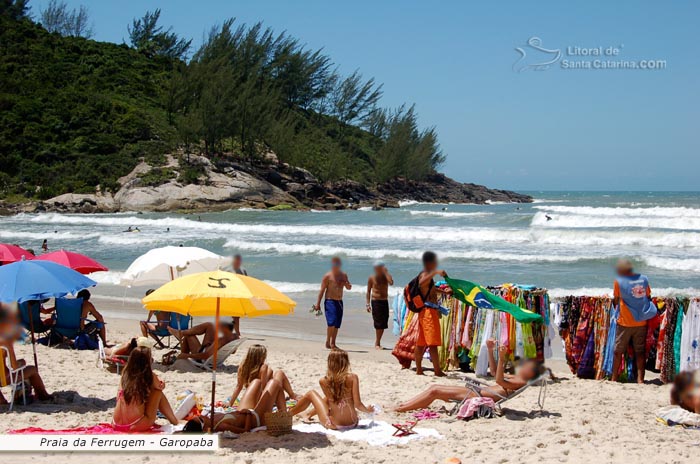 Foto Gatas Tomando Sol Na Praia Da Ferrugem Garopaba Sc