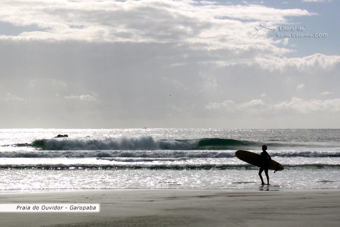 Praia do ouvidor, garoto surfista indo fazer um surf nas praias de garopaba