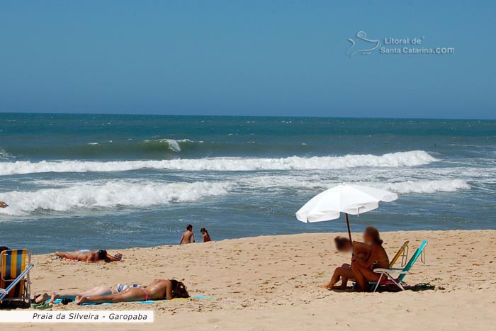 Gatas de garopaba, tomando sol na praia da silveira