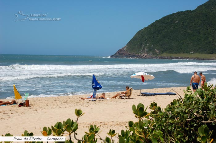 Gatas da silveira tomando sol de biquini nas areias limpas das praias sc