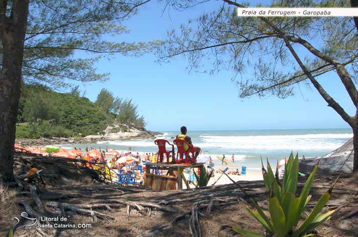 praia da ferrugem sc, salva vida tomando conta da praia