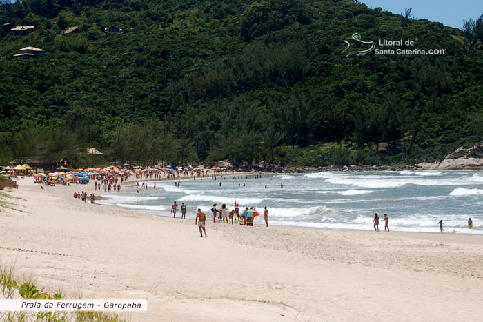 praia da ferrugem santa catarina