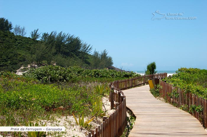 Caminho para a praia da ferrugem sc