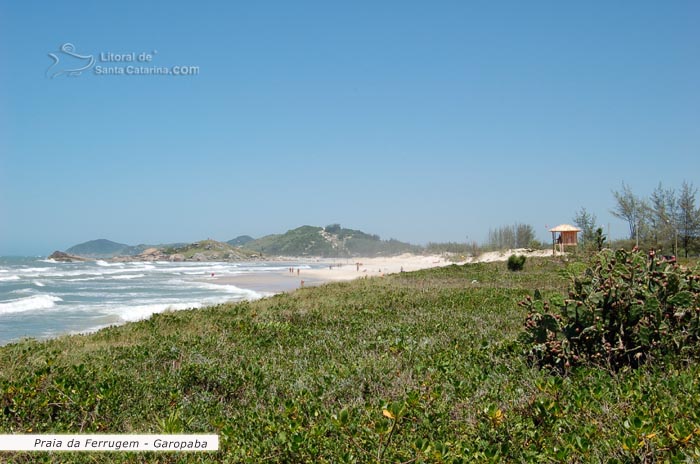 praia da ferrugem garopaba