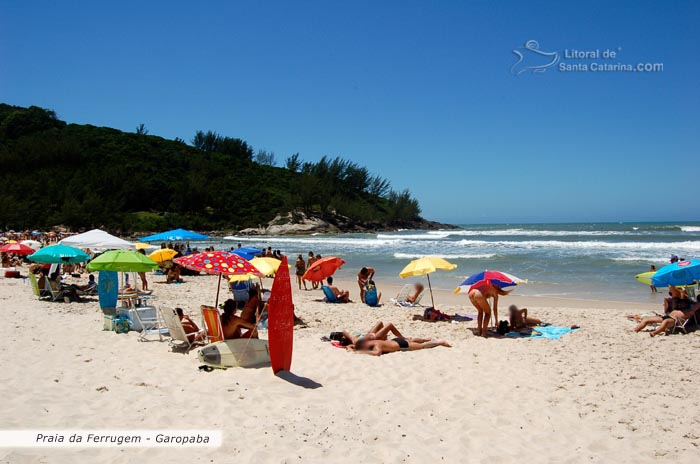 Galera tomando sol e se preparando para fazer um surf