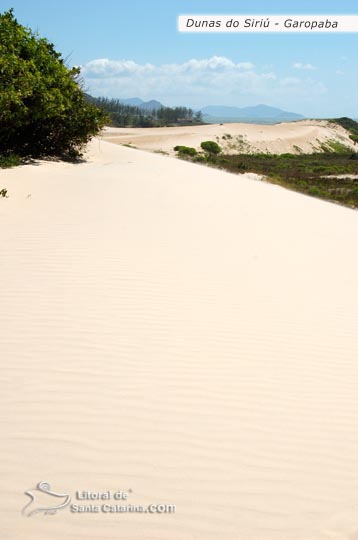 Dunas do siriú