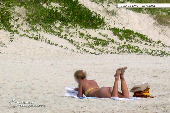 Gata tomando sol de biquini e lendo um bom livro na praia do siriu