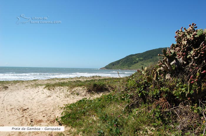 Orla linda da praia da gamboa