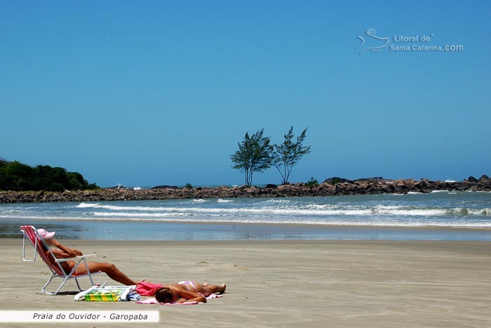 Gatas de biquini na praia do ouvidor em garopaba sc