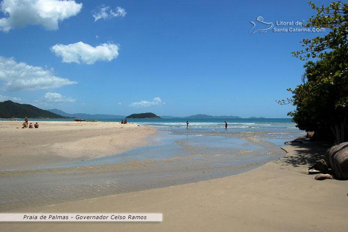 Praia de palmas, pessoas se divertindo nas areias e outras no mar