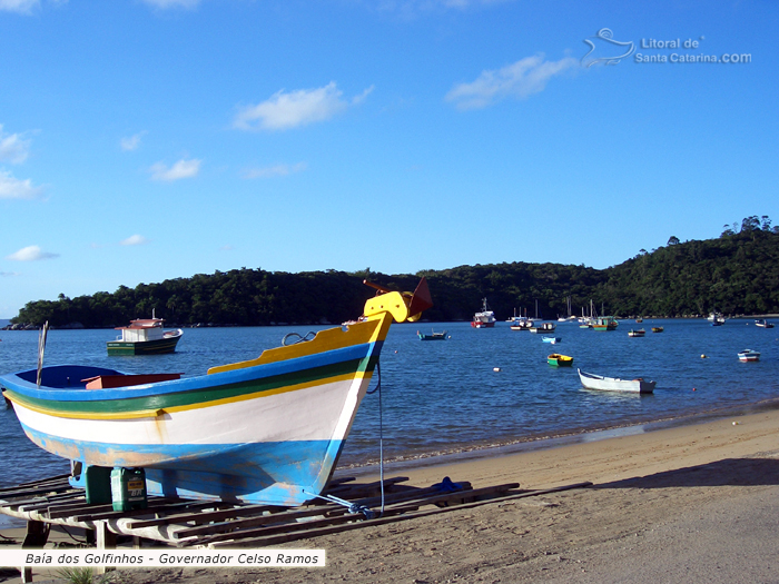 Baia dos golfinhos em governador celso ramos