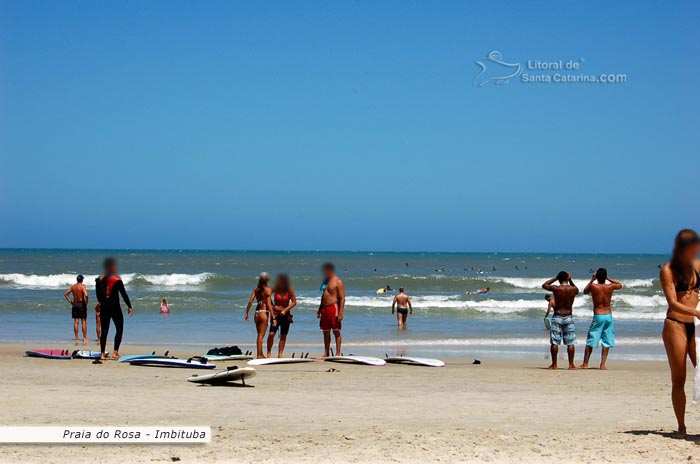 gatas se preparando para o surf na praia do rosa sc