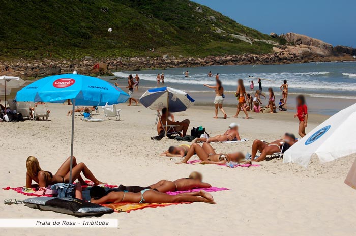 Gatas tomando sol de biquini no rosa em santa catarina