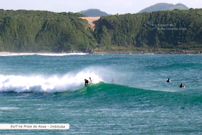 Onda perfeita, surf na praia do rosa sc