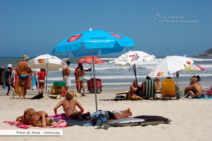 Gatas de biquine, tomando um sol na praia do rosa