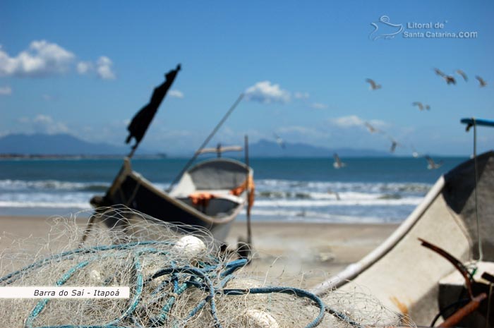 barco de pesca, gaivotas, mar calmo em itapoá