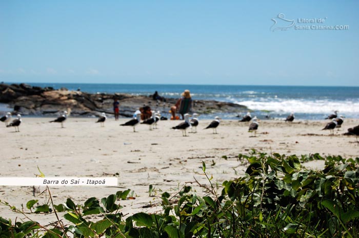 restinga, praia de areias brancas, mulher dencansando e mar calmo do barra do sai em itapoa