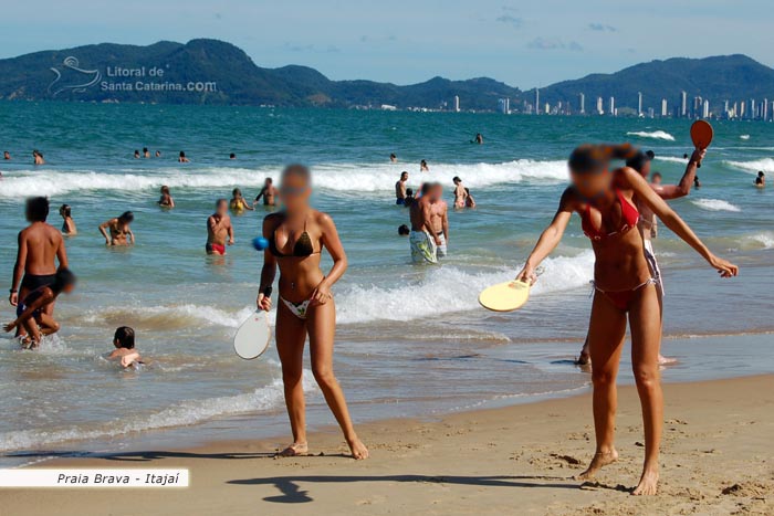 gatas na praia brava de itajaí