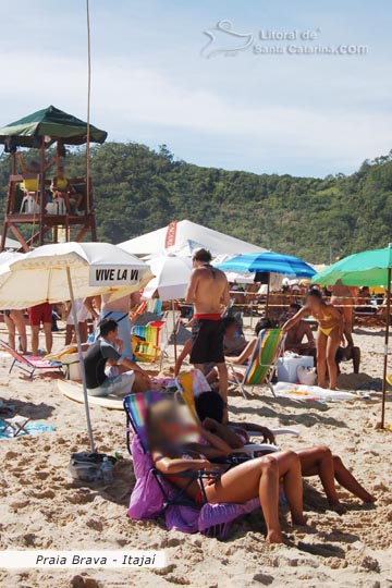 gatas tomando sol praia brava