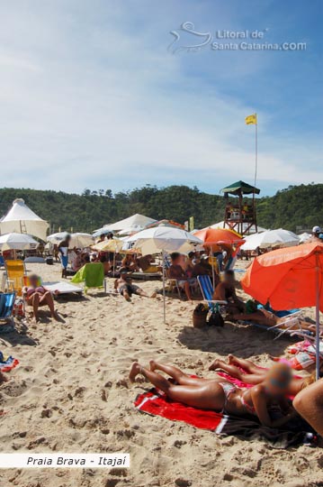 gatas de biquini na praia