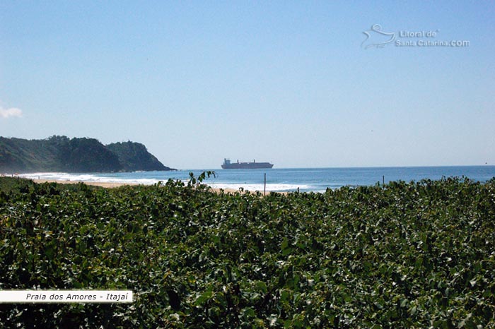 praia de sc, restinga, areia, mar e ao fundo um navio cargueiro