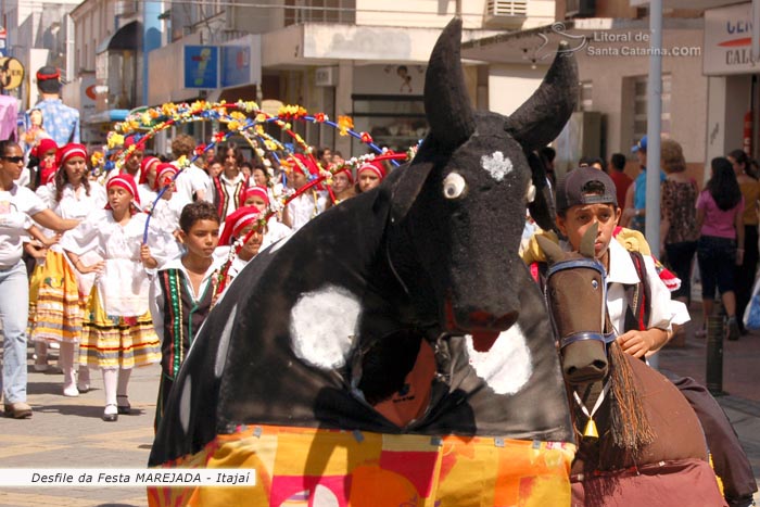 desfile da festa marejada, boi de mamao