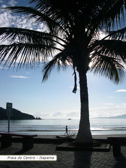 Coqueiro e ao fundo o mar e uma pessoa passeando pelas areias da praia de itapema.