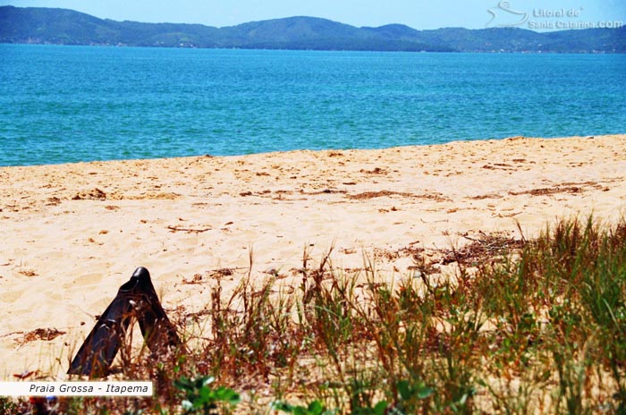 Praia Grossa em Itapema, pé de pato para mergulhar nas águas límpidas desta praia paradisíaca.