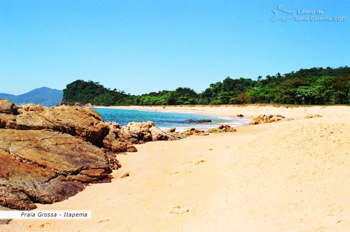 Vista total da orla da praia grossa em itapema e ao fundo uma mata totalmente preservada.