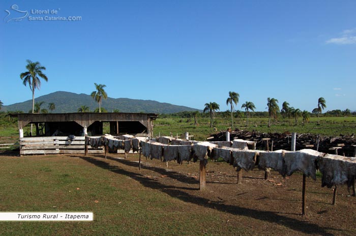 Turismo Rural em Itapema.